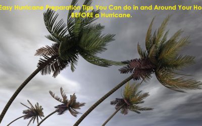 5 Easy Hurricane Preparation Tips