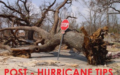 5 Hurricane Relief Tips